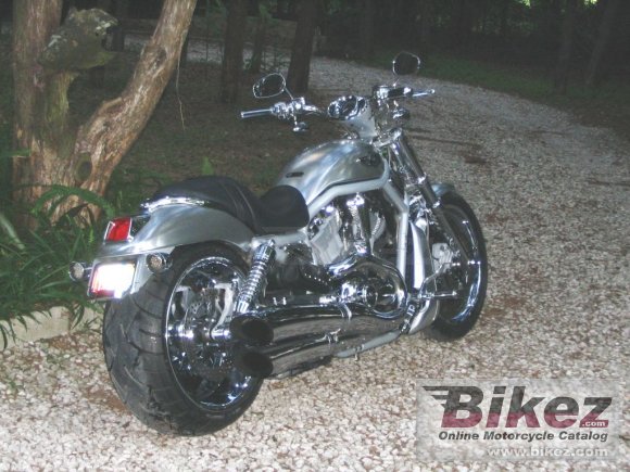 2003 Harley-Davidson VRSCA V-Rod photo